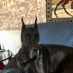 Meet your Posher, Margarette